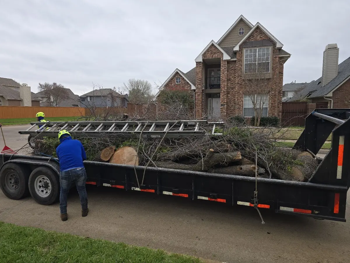 Expert Lot Clearing with proper safety equipment in Glendale
